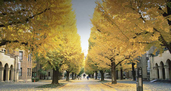 留日生对日本留学正面